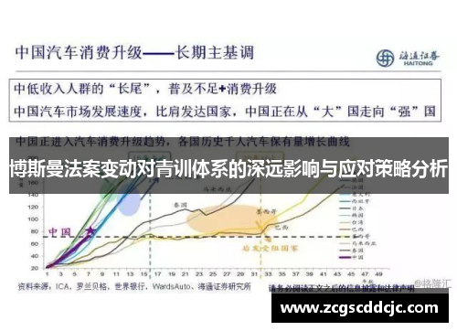 博斯曼法案变动对青训体系的深远影响与应对策略分析